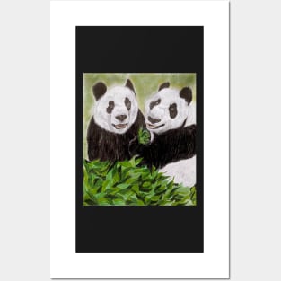 PANDAS Posters and Art